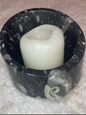 Handcrafted polished Goniatite Orthoceras fossilized black stone dish
